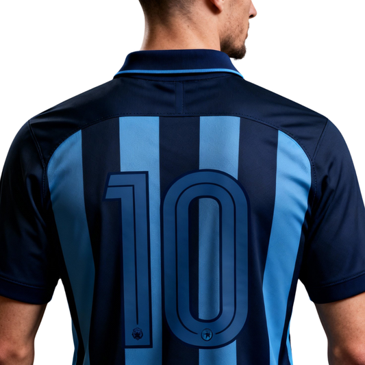 Polo shirt model 10 in dark blue and light blue