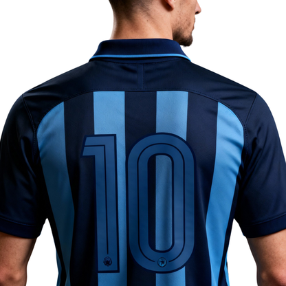 Polo shirt model 10 in dark blue and light blue